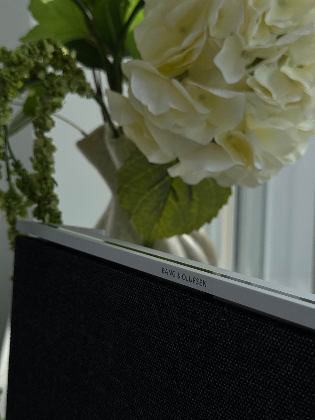 BeoSound Level GVA